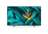 Philips 55HFL5214U / Smart TV / 55" / 2020