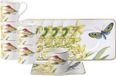 Villeroy & Boch Amazonia Espressotasse mit Untertasse 60 ml Set von 12