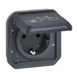 LEGRAND, Plexo New Einsatz, geaarde contactdoos voor het opladen van elektrische fietsen, 16 A - 250 V, steekklemmen, verhoogde aanraakbescherming, fietssymbool, IP 44 - IK 08, kleur: antraciet