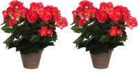 Mica Decorations Kunstplant - 2x - Begonia - Roze - In Pot - 25 cm