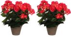 Mica Decorations Kunstplant - 2x - Begonia - Roze - In Pot - 25 cm