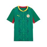 PUMA Functioneel shirt 'Senegal 2026' geel / groen / rood