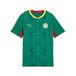 PUMA Functioneel shirt 'Senegal 2026' geel / groen / rood