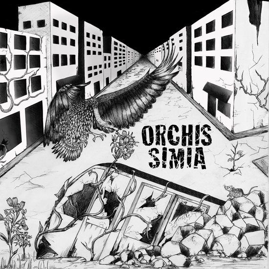Orchis Simia - Orchis Simia (LP + CD) - Hardrock - Gatefold