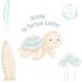 Gizmo Lente Tortue