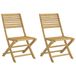 VidaXL Tuinstoel Terras Acaciahout 2 stuks