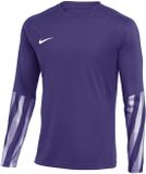 Nike Team Sweater Hommes Dri-FIT Park V Stadium Violet - Taille S