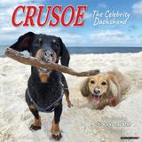 Willow Creek Crusoe de Teckel Kalender 2026 Wandkalender