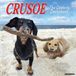 Willow Creek Crusoe de Teckel Kalender 2026 Wandkalender
