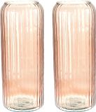 Excellent Houseware vase en verre / vases à fleurs - 2 pièces - rose - 15 x 37 cm