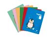 Clairefontaine 36750C Pak met 20 Geniete Poëzieschriften "Clairenfantine" - 24x32cm - 48 Pagina's Grote Ruitjes en Effen - Wit Papier 90 g - Willekeurig Motief