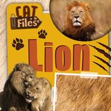 Lion Kidhaven Publishing Cat Files- Lion Paperback