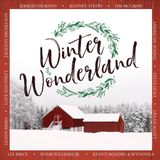 Bertus Distributie Winter Wonderland