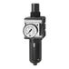 RIEGLER 133107-C 44-S 10 filterregelaar »multifix«, met PC-houder, beschermmand, BG 4, G 3/4, 1 stuk