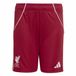 Adidas LFC Thuisshort Y - Kinderen - Rood - Maat 152