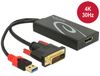 Delock 0.3m DVI-D + USB naar HDMI Adapter Zwart