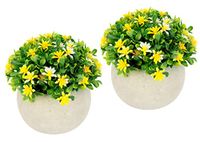 Mini Bol Mini bloemenstruik in pot, kunstmatige was bloemenstruik, tafeldecoratie, middelpunt, bruiloftsdecoratie, kunstbloemen, plastic bloemen, bloemisterij, kamerplant, kunstplantbloemen, nep-decoratieve plant, doosbloemdecoratie