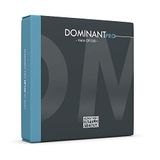 Thomastik-Infeld Dominant Pro Viool G String DP04