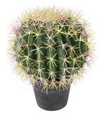 Flair Flower Kogelcactus in pot kunstcactus nep cactusvijg kunstmatige bollige stekelige cactus decoratie aloë vera schoonmoederstoel schoonmoederstoel E 151587GN groen 33x26x26 cm