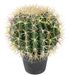 Flair Flower Kogelcactus in pot kunstcactus nep cactusvijg kunstmatige bollige stekelige cactus decoratie aloë vera schoonmoederstoel schoonmoederstoel E 151587GN groen 33x26x26 cm