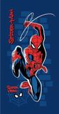 4KidsOnly Spiderman Badlaken 70 x 140 cm Katoen 320 GSM Multicolor
