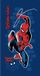 4KidsOnly Spiderman Badlaken 70 x 140 cm Katoen 320 GSM Multicolor