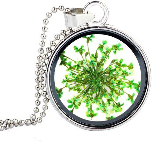 Fako Bijoux® - Ketting - Gedroogde Bloem - Rond - Zilverkleurig - Groen