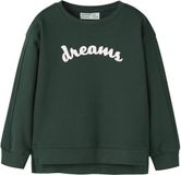 NAME IT - NMFOLINNIA LS RLX SWE BRU BF - Fille - Pull - Coton/Polyester - Taille 104 - Pine Grove