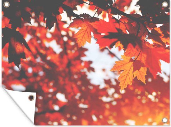 GreatGardenPosters Tuinposter - Herfst - Bladeren - Oranje - Tak - 120x90 cm - Tuinschilderij - Schuttingdoek - Tuindoek - Buitenposter