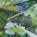 Gladys Designers Guild Gladys Blossom Dekbedovertrek Katoen Satijn Tweepersoons 260x240 cm Medium Groen