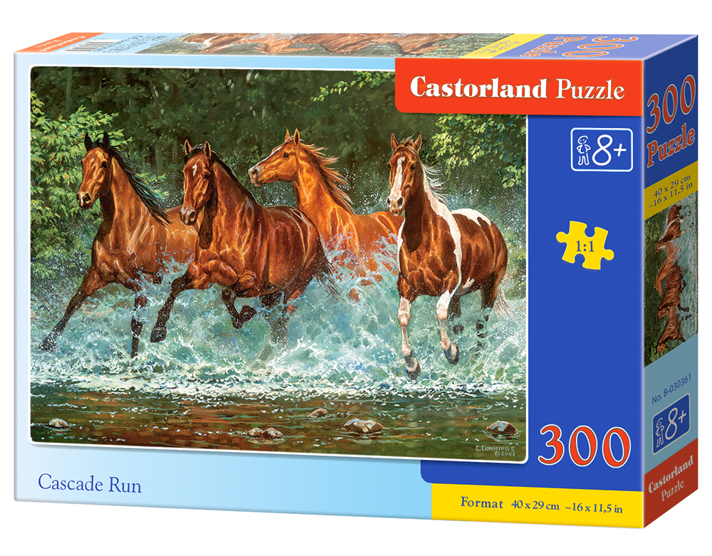 Castorland Cascade Run - 300 stukjes