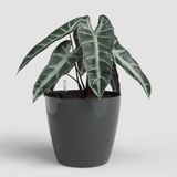 ARTEVASI San Remo Bloempot/cachepot Auto-watering Ø30 cm Antracietgrijs Kunststof