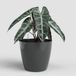 ARTEVASI San Remo Bloempot/cachepot Auto-watering Ø30 cm Antracietgrijs Kunststof