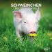 Tushita Biggen Kalender 2027