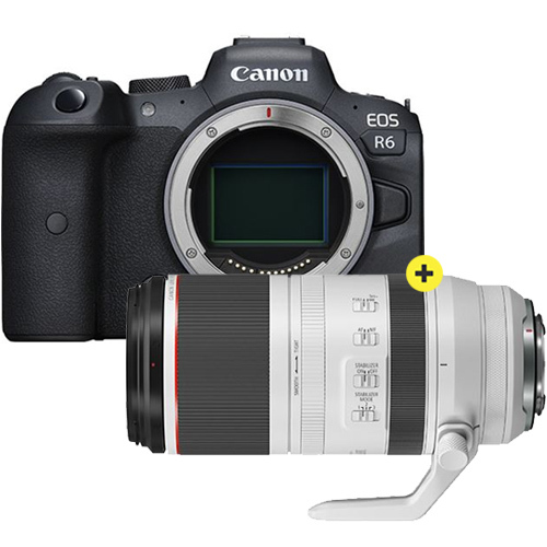 Canon Canon EOS R6 body + RF 100-500mm F/4.5-7.1 L IS USM