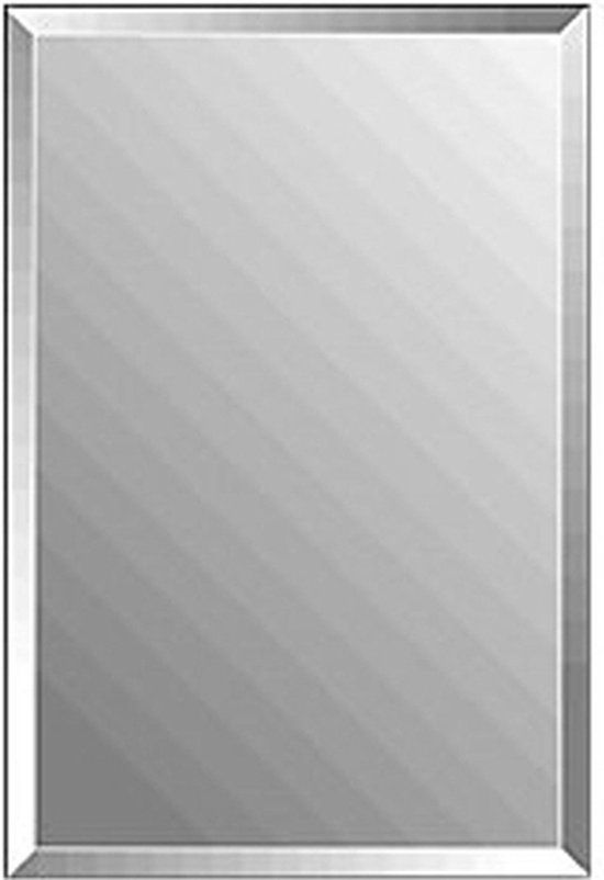 Plieger Charleston - Rechthoekige Spiegel - 120x30cm - Zilver