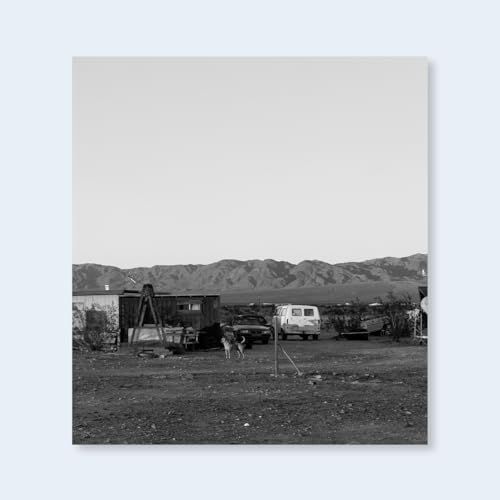 John Divola Dogs Chasing My Car in the Desert /anglais