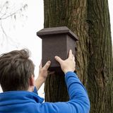 CJ Wildlife Nestkast voor Eikelmus - 45mm - Woodstone Nestkastje - FSC-gecertificeerd Hout - Bruin