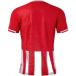 Joma Maillot Premier
