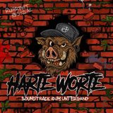 Harte Worte - Soundtrack Zum Untergang (10" LP)