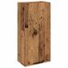 VidaXL Badkamerkast wandgemonteerd 32x20x67 cm Artisanaal Eikenkleur