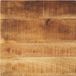vidaXL Tafelblad vierkant 60x60x2,5 cm massief ruw mangohout