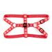 Athletic Club Pet Harness, Red, L