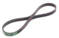 Japko 4PK615 V-riem trapZodale, ribben