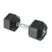 Zeskanthalter, Zeshoekige halter, gewicht van 10 kg, voor sportschool, fitness, training, zeshoekige halter, cross-fit, functionele fitness