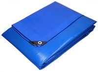 ECD Germany Dekzeil 4x6m 180g/m² Blauw Waterdicht Schimmelwerend Scheurvast Polyethyleen Beschermhoes