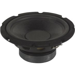 HR Zwarte Subwoofer Voor Luidspreker 10" / 350w
