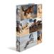 HERMA 19429 A4-mapparkettenmappen voor dieren, paarden, 3-delig, smal, 2 ringen, stabiel karton, 35 mm breed, kleurenprint binnen en buiten met hoogwaardig design, motief