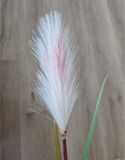 Mica Decorations Rietgras/pluimgras kunstplant losse steel - 3x stuks - takken - roze/witte pluim - 72 cm