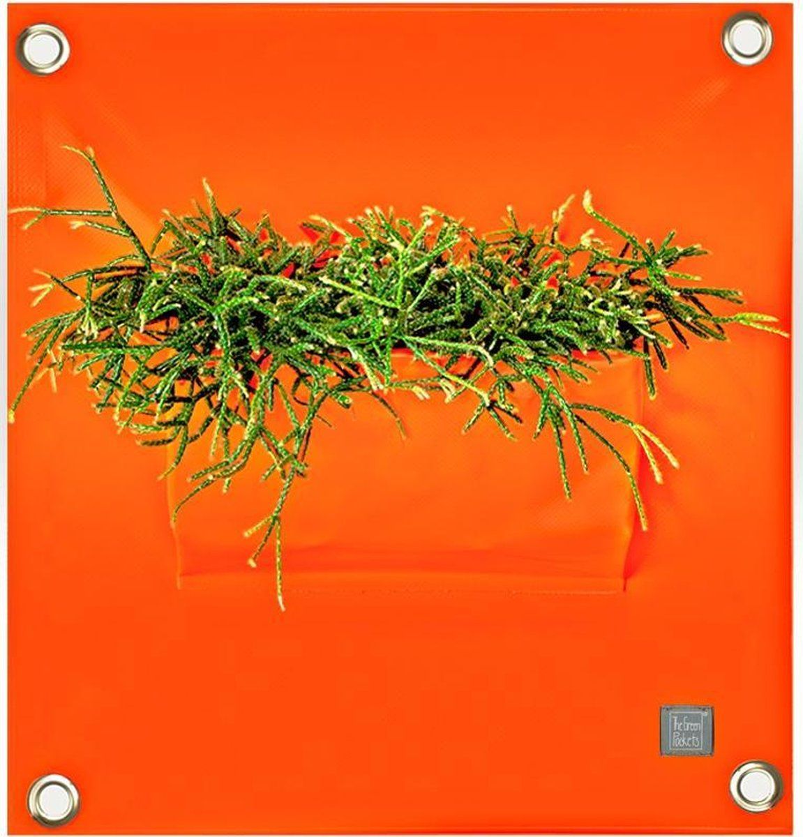 Bloomingwalls Plantenbak The Green Pockets - PEVA1 - Oranje - 8595604400186